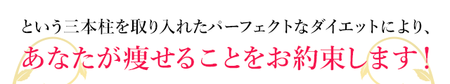 という三本柱を取り入れたパーフェクトなダイエットにより、あなたが痩せることをお約束します！